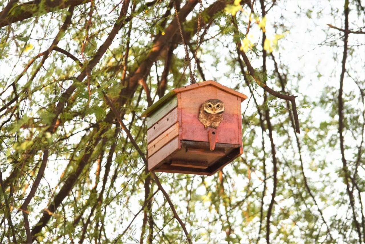 Ranthambhore Bagh Dwar Camp Khilchīpur Exterior foto